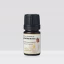 Ausganica Immortelle Oil 10Ml - thumbnail 1