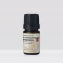 Ausganica Sandalwood Premium Oil 10Ml - thumbnail 1