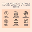 Teelixir Red Pine Needle Oil, 30ml - thumbnail 3