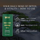 Teelixir Red Pine Needle Oil, 30ml - thumbnail 5