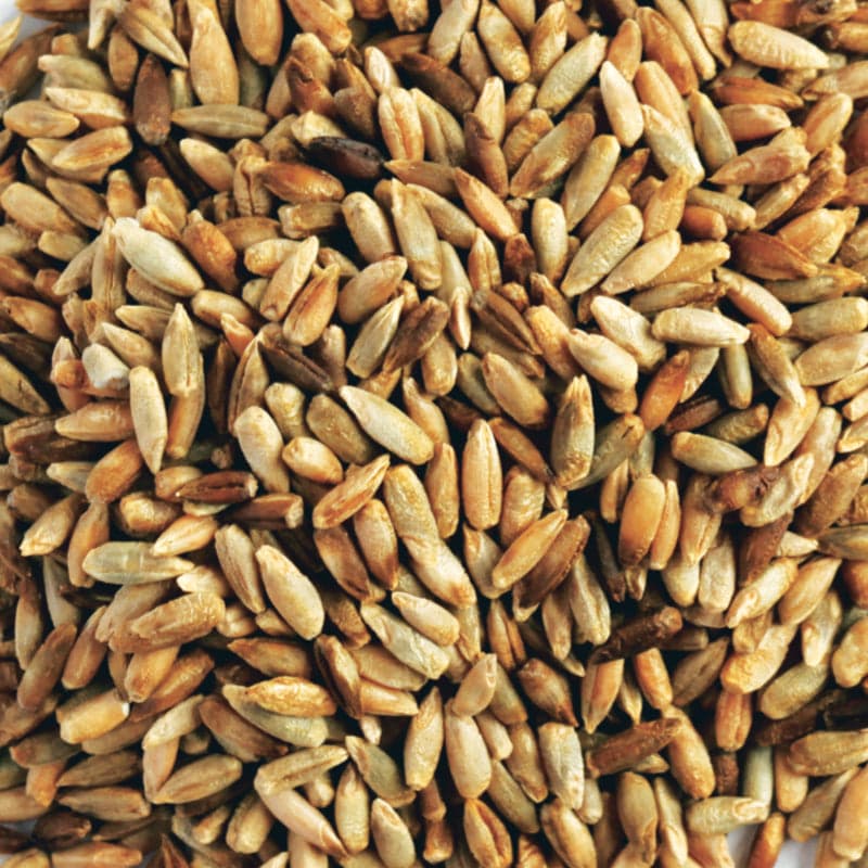Kialla Pure Foods Organic Rye Grain 20kg