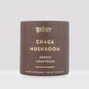Teelixir Chaga Mushroom - thumbnail 1