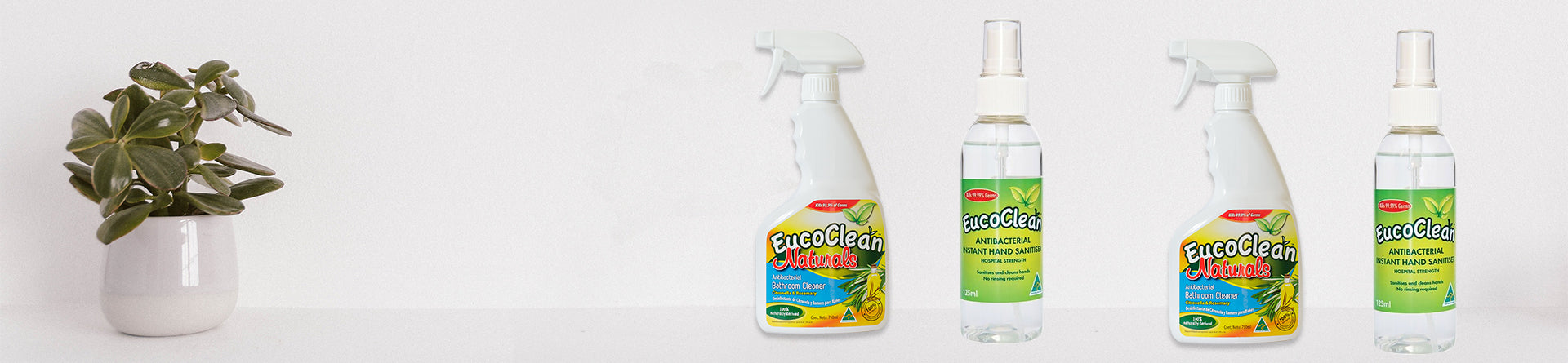 Eucoclean