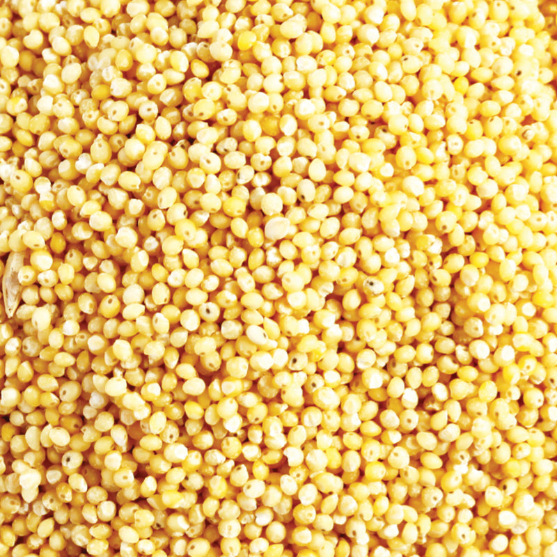 Kialla Pure Foods Organic Hulled Millet 20kg