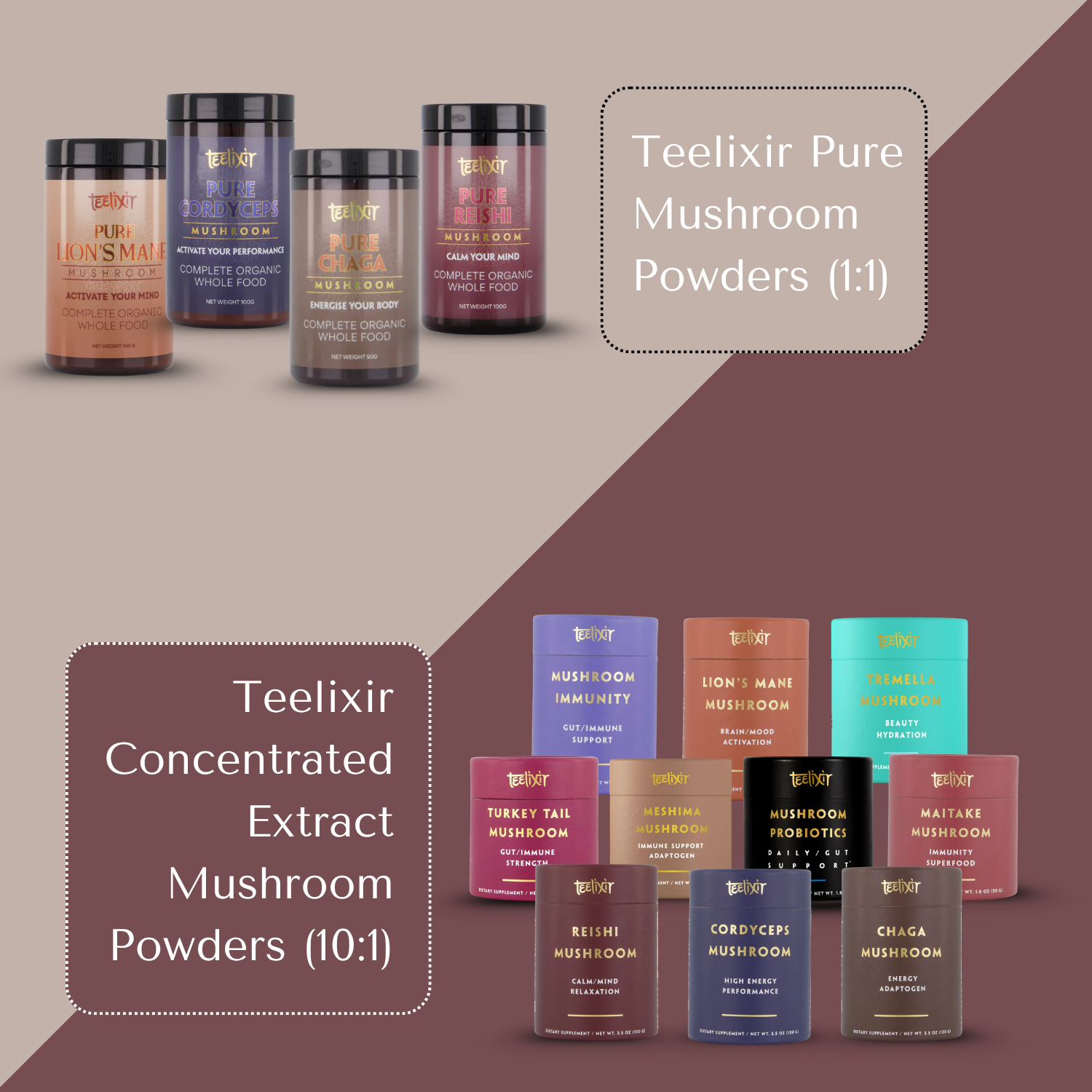 Pure Reishi Mushroom 100g