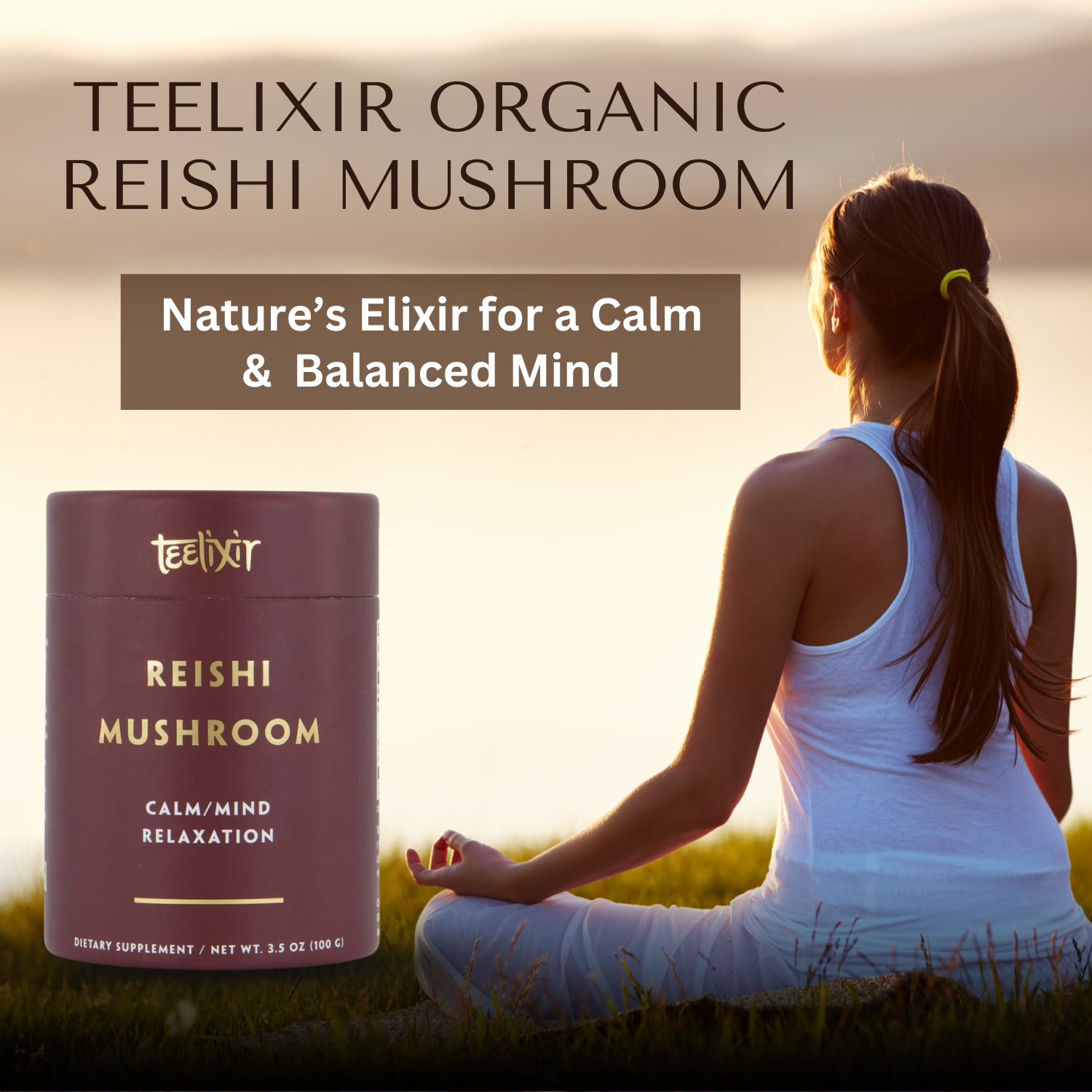Reishi Mushroom - Teelixir