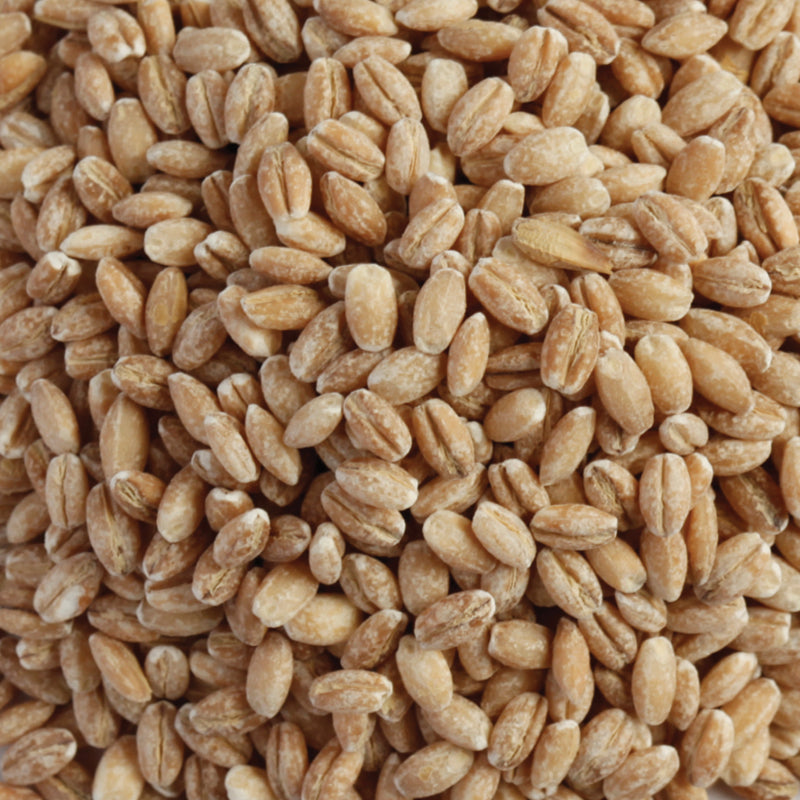 Kialla Pure Foods Organic Pearl Barley 20kg